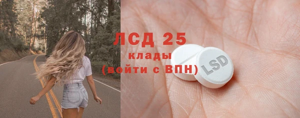 PSILOCYBIN Надым