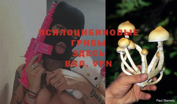 PSILOCYBIN Надым