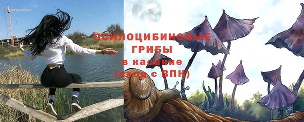 кокс Нея