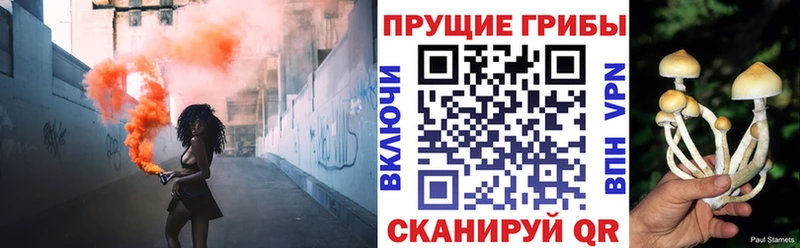 Псилоцибиновые грибы мухоморы  Пудож 